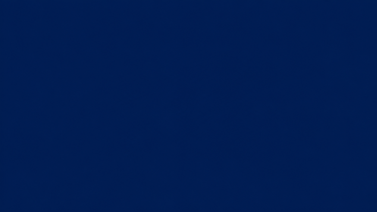 codex-3d227a6bfb0449ec82309236b32ba666